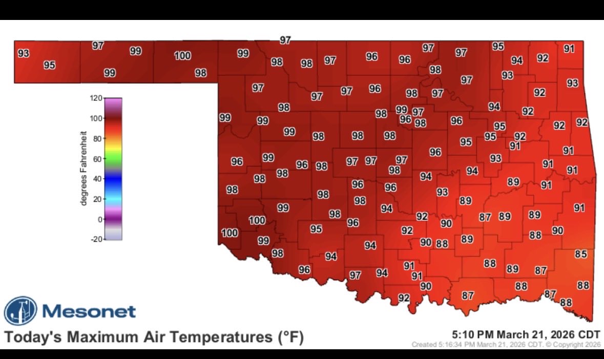 Emily Sutton tweet media