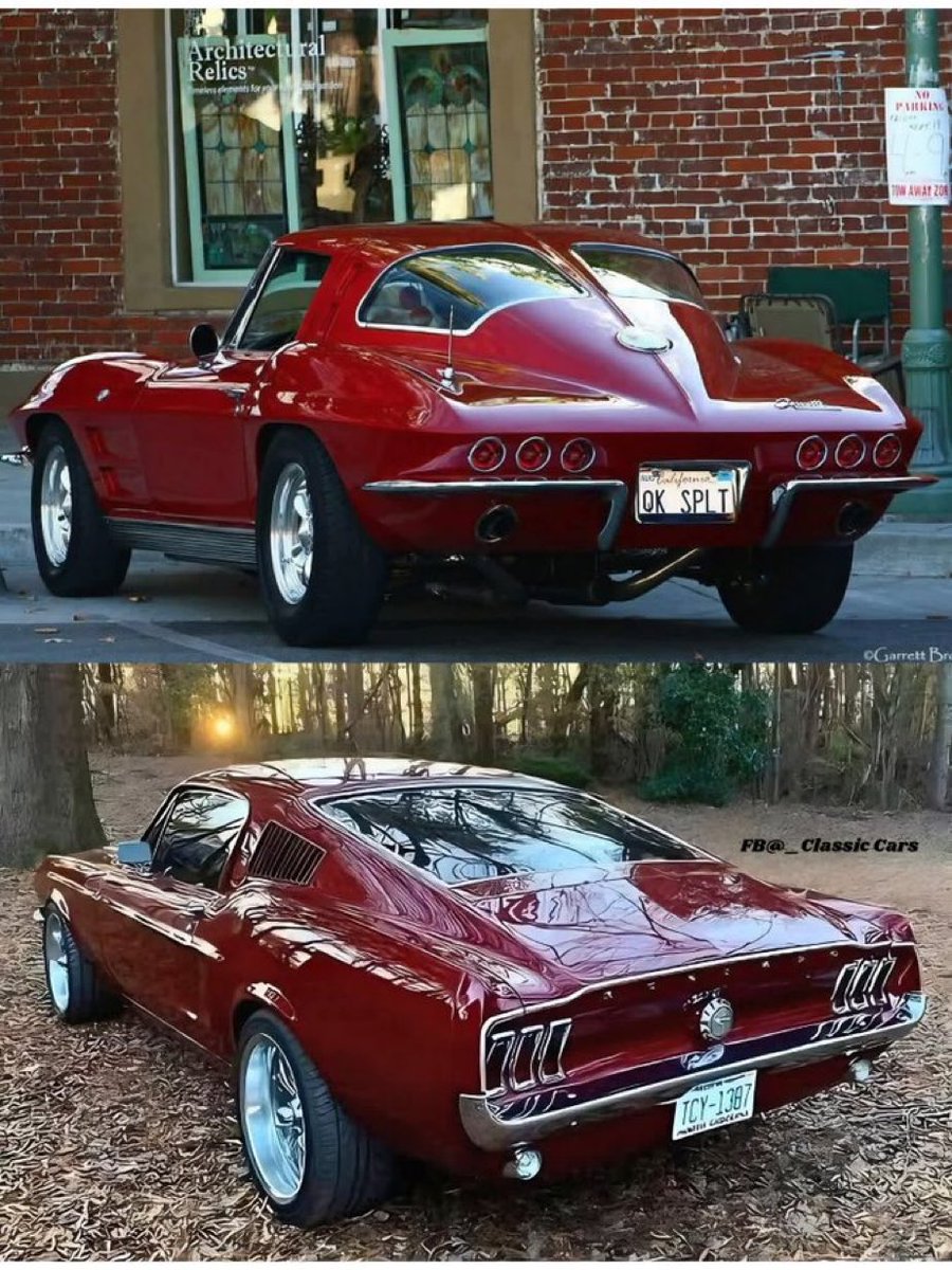 Batmax ⭐⭐ tweet media