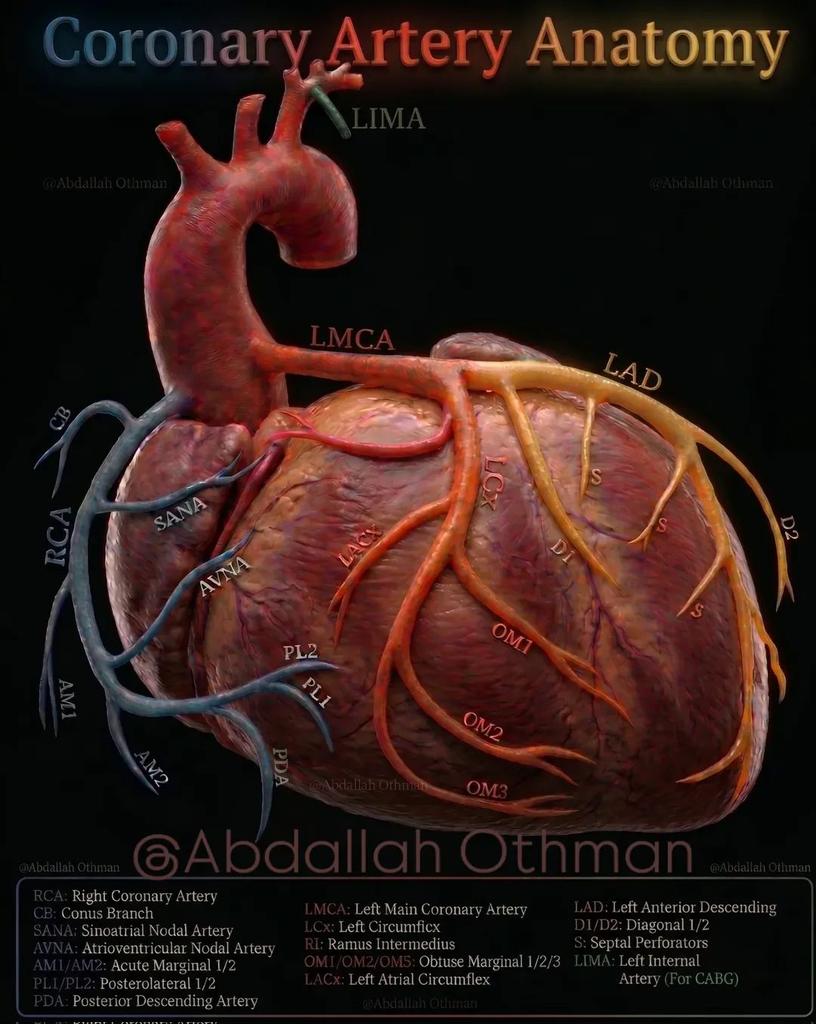 AbdAllah Othman tweet media