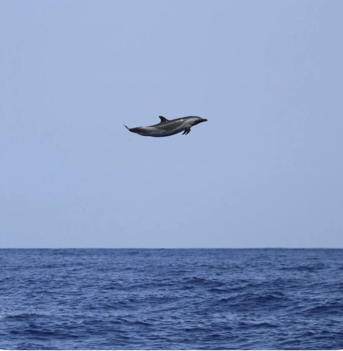 SweetMarie tweet media