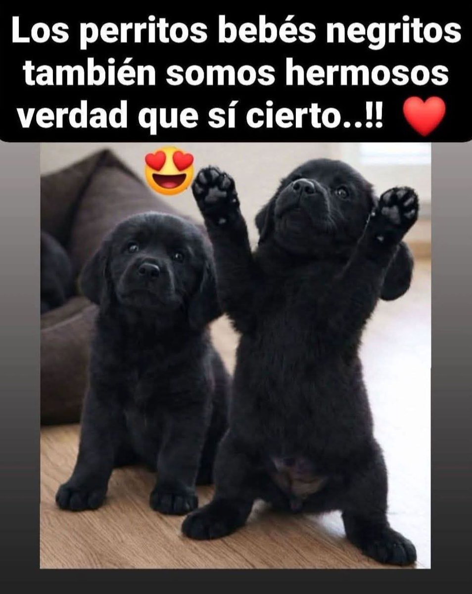 Manu Saenz💛💛 tweet media