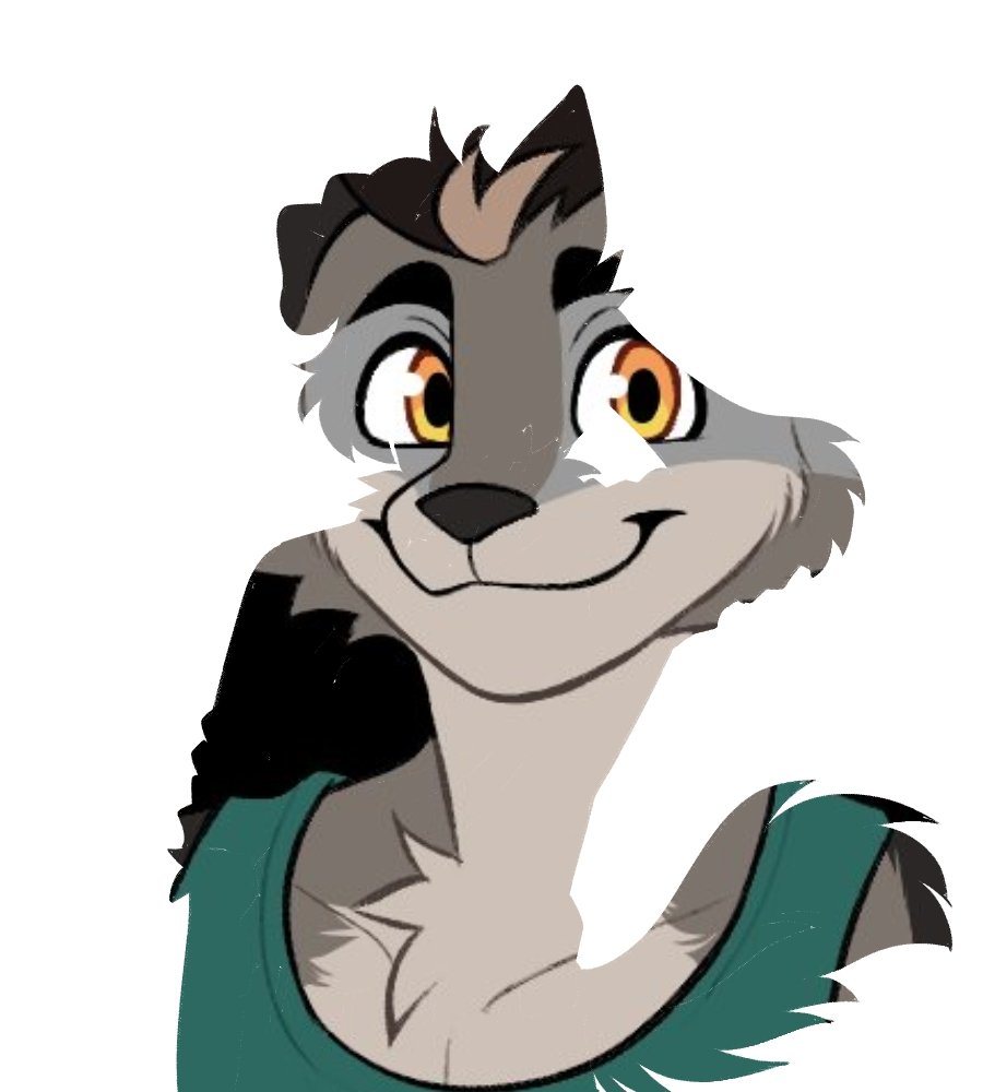 Daily Rofi tweet media