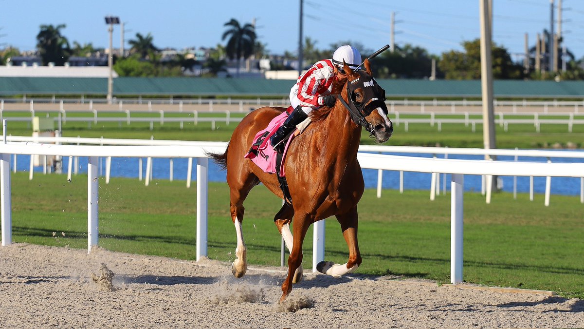 Gulfstream Park tweet media