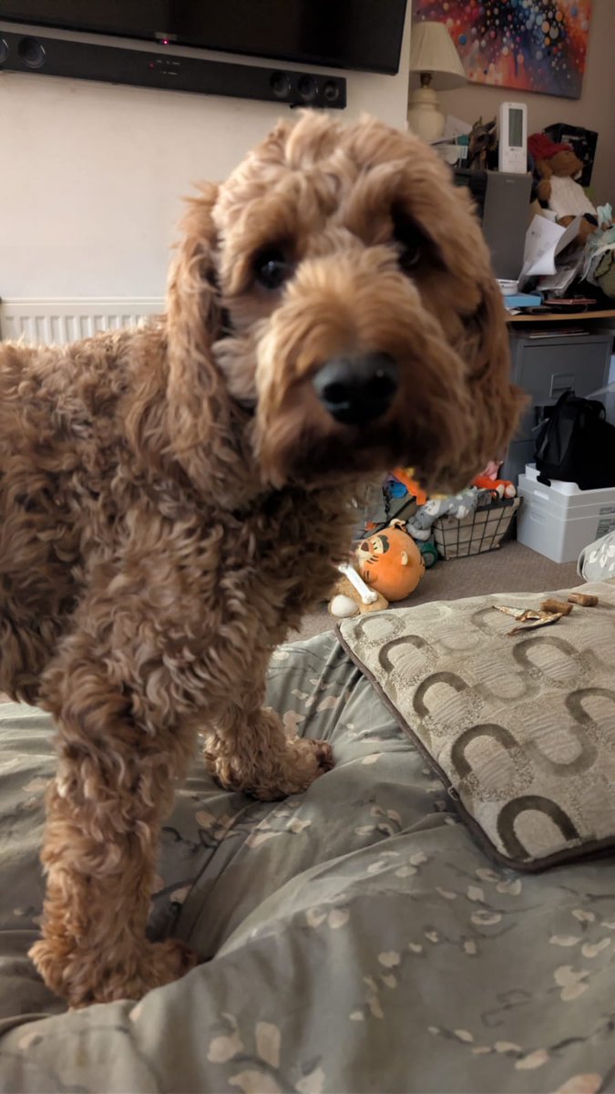 Megaghost Gaming☠️ tweet media