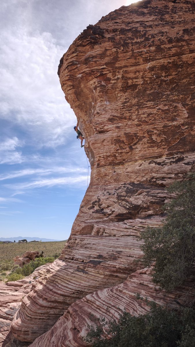 Tomahawk tweet media