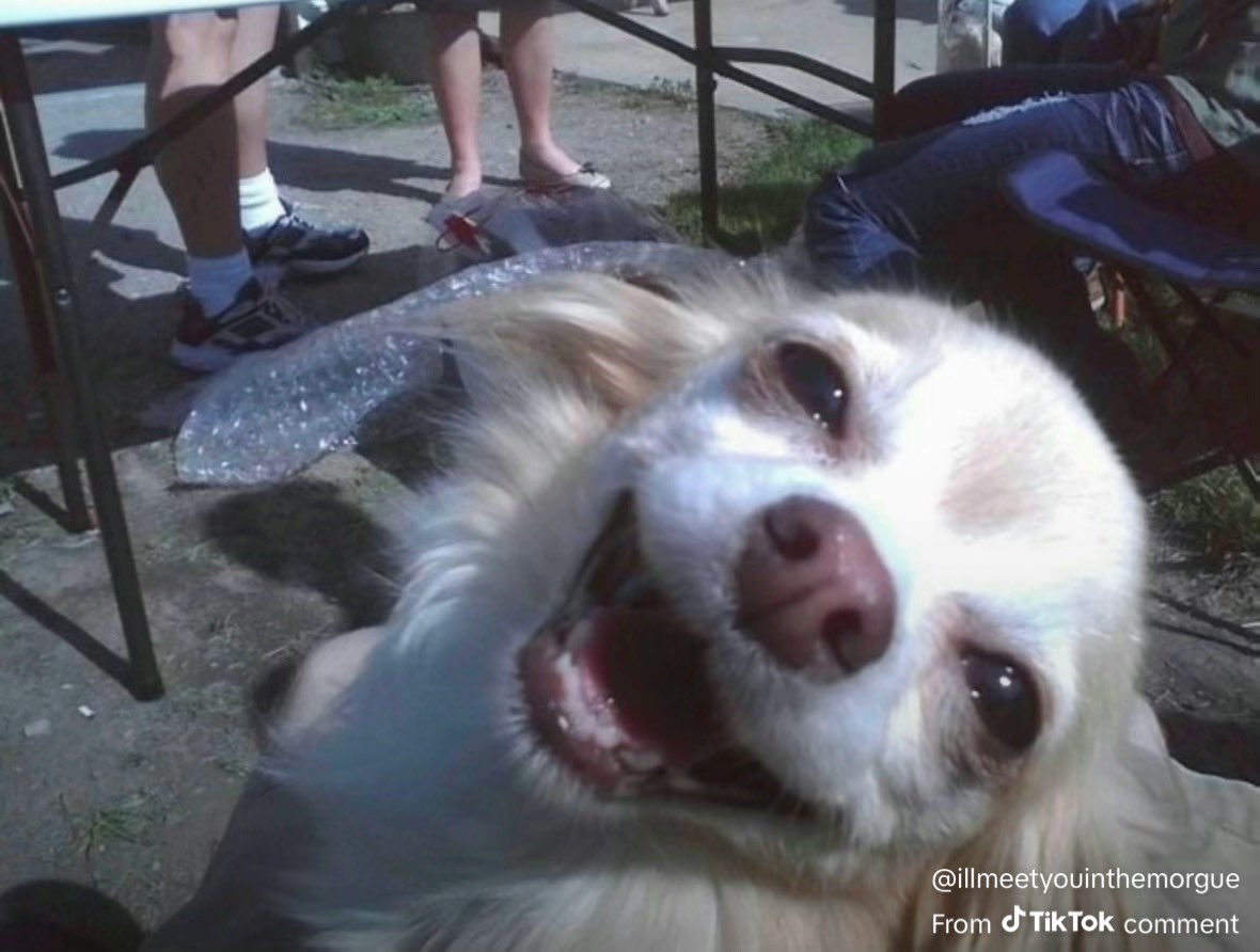 rosse is seeing ari ☼｡˚❀ * ꕤ tweet media