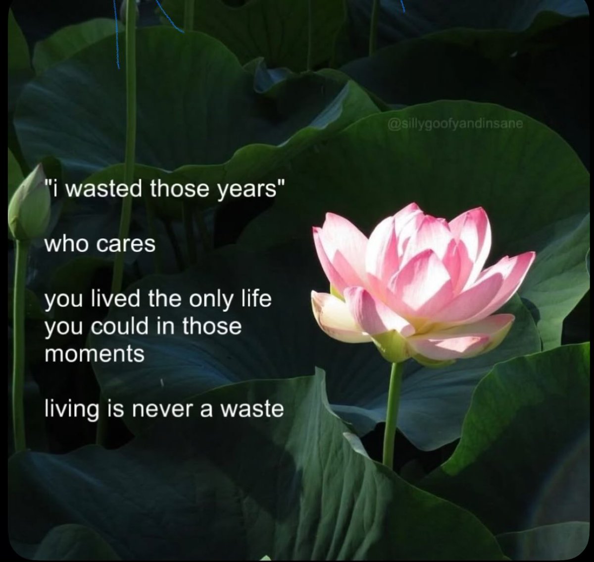 Seravelle_'s tweet photo. Nothing I lived was a waste it all led me here https://t.co/FItxO8aIYS