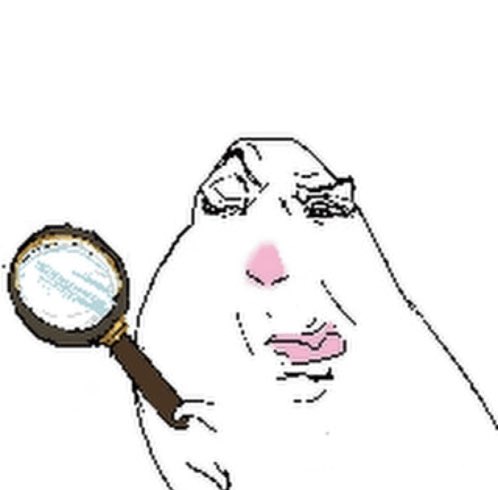 kafkamus 🪳 tweet media