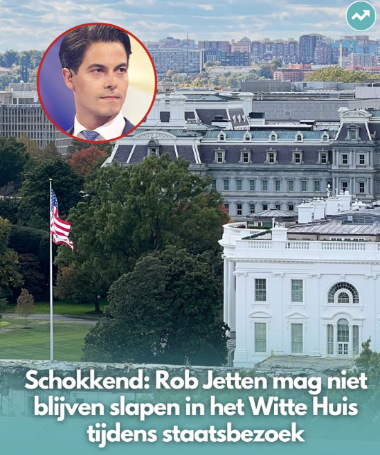 Eelco Van Hoecke tweet media