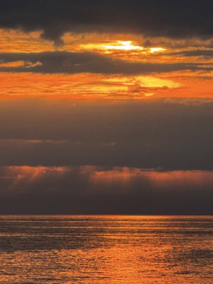 Operation Heal America tweet media