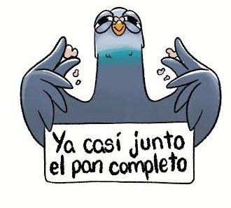 🇨🇴𝒀𝒖𝒚𝒆𝒅 | tweet media