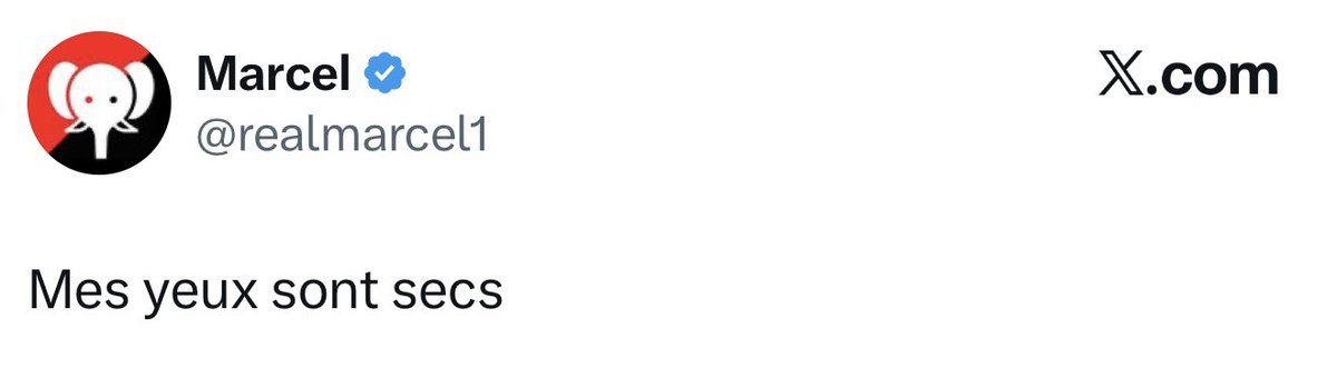 Jordan Florentin tweet media