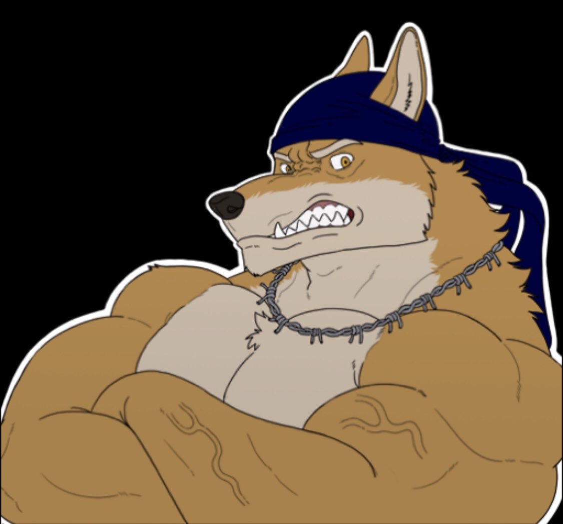 Wolfplot tweet media