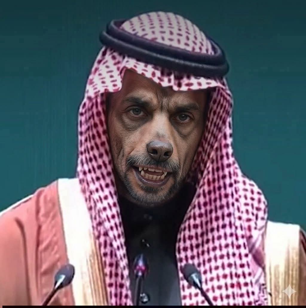 ir_F1's tweet photo. @KSA24 عندما ترى الكلاب فرحة فاعلم أن الميت أسد https://t.co/qCBj0JWVON