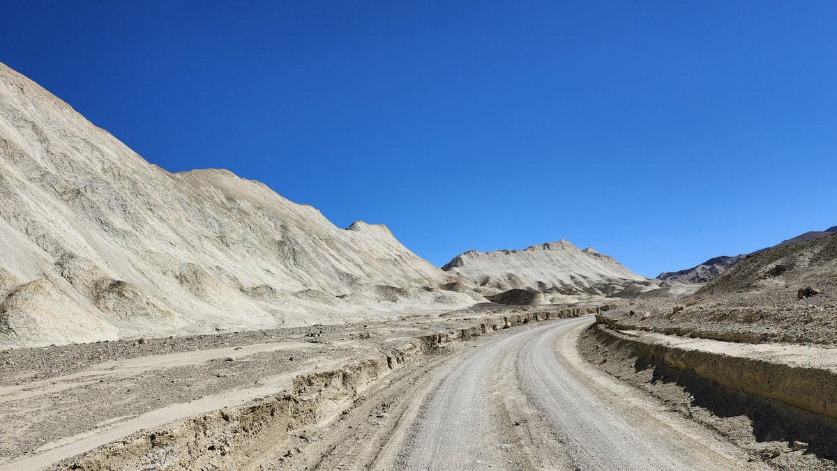 Allison Castner tweet media