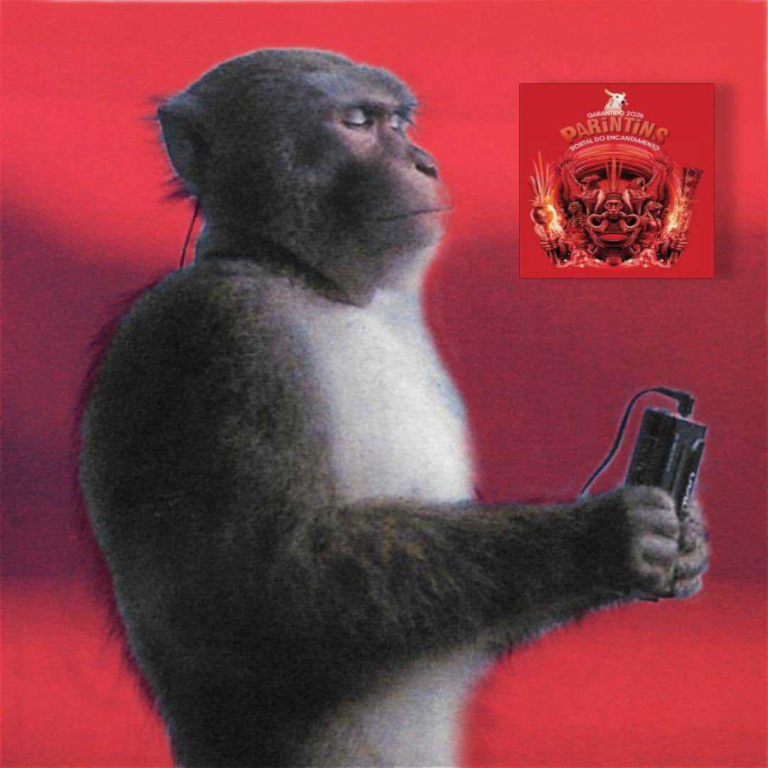 Boi Garantido tweet media