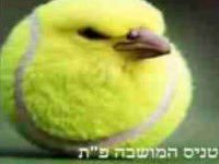 infectedslvt tweet media