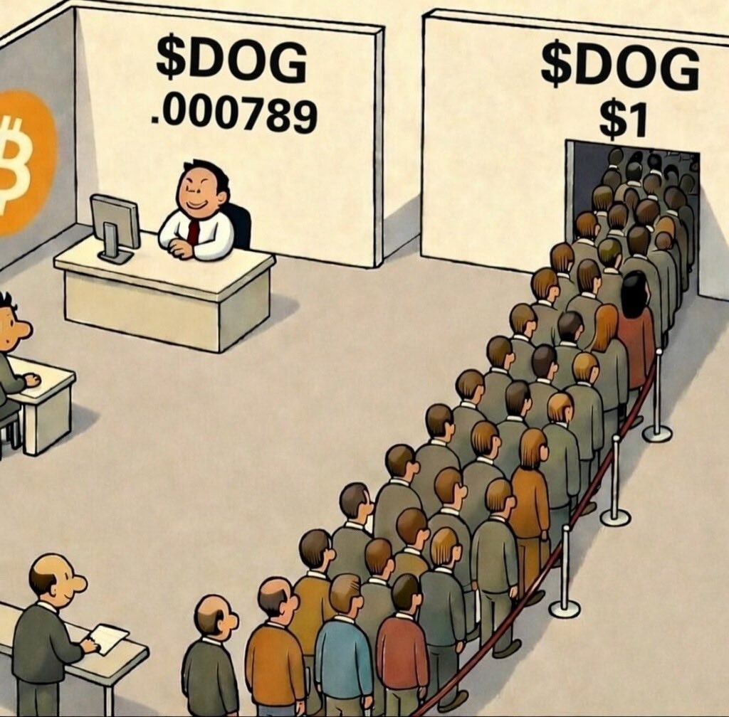 GoldenDragon_Lu's tweet photo. Just do it now....don't regret... $DOG https://t.co/pu0eQUsIGL