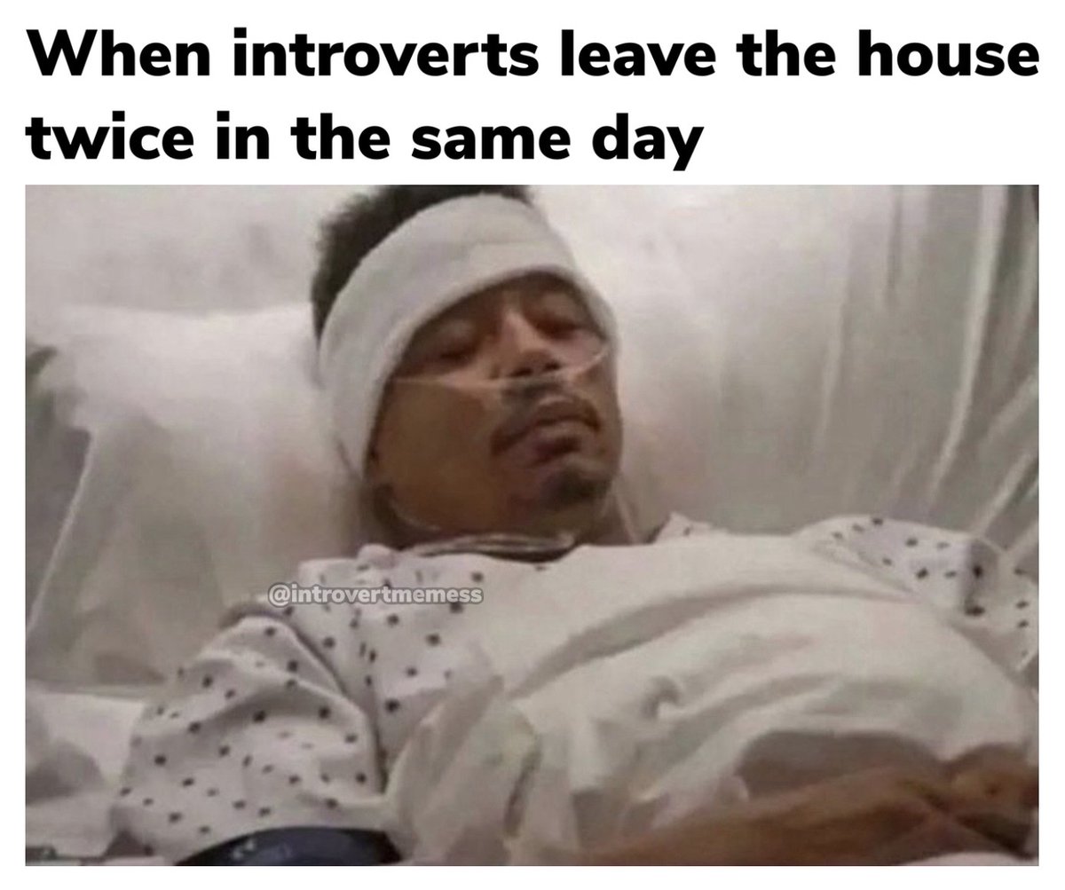 All About Introverts tweet media