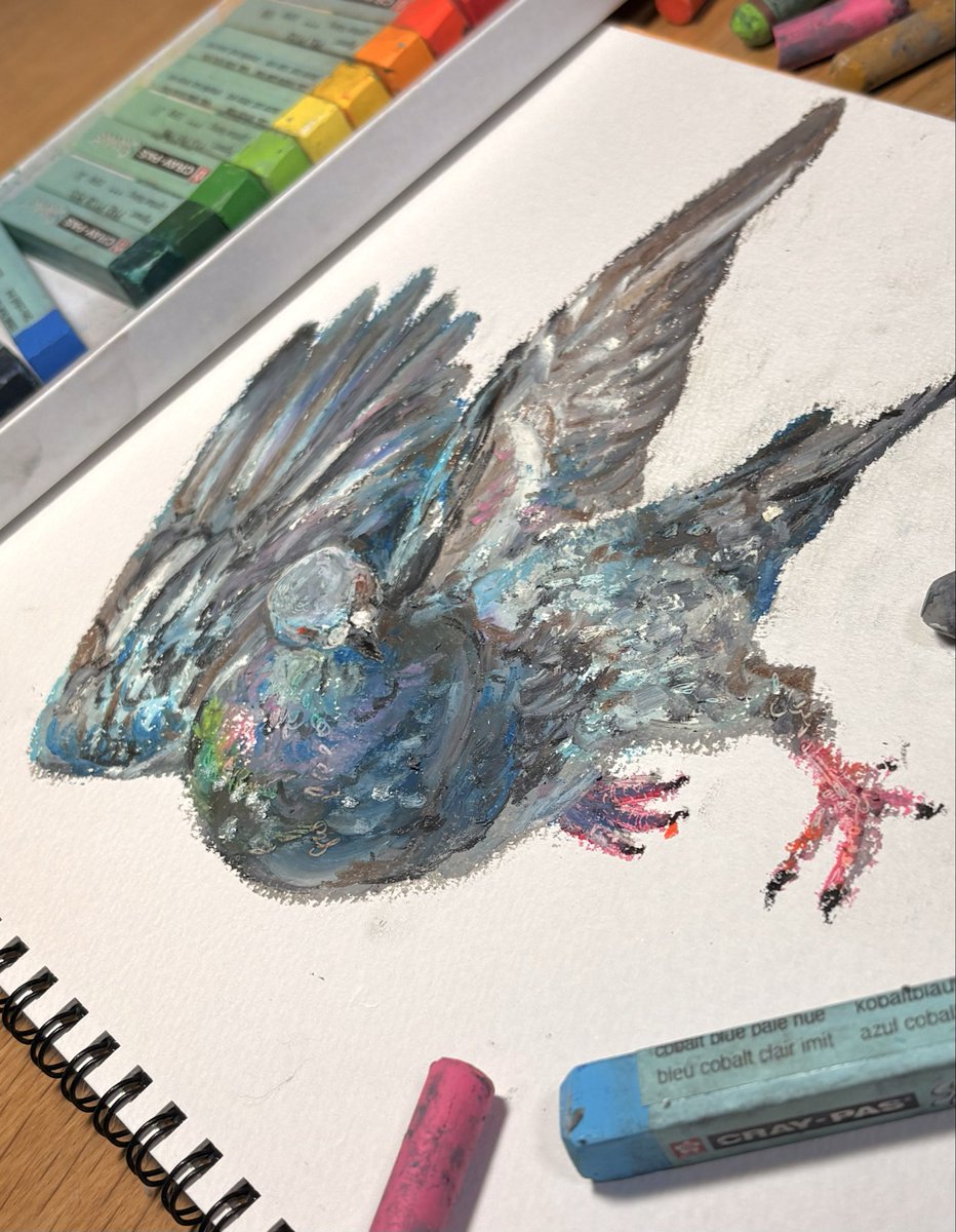 ほしの tweet media