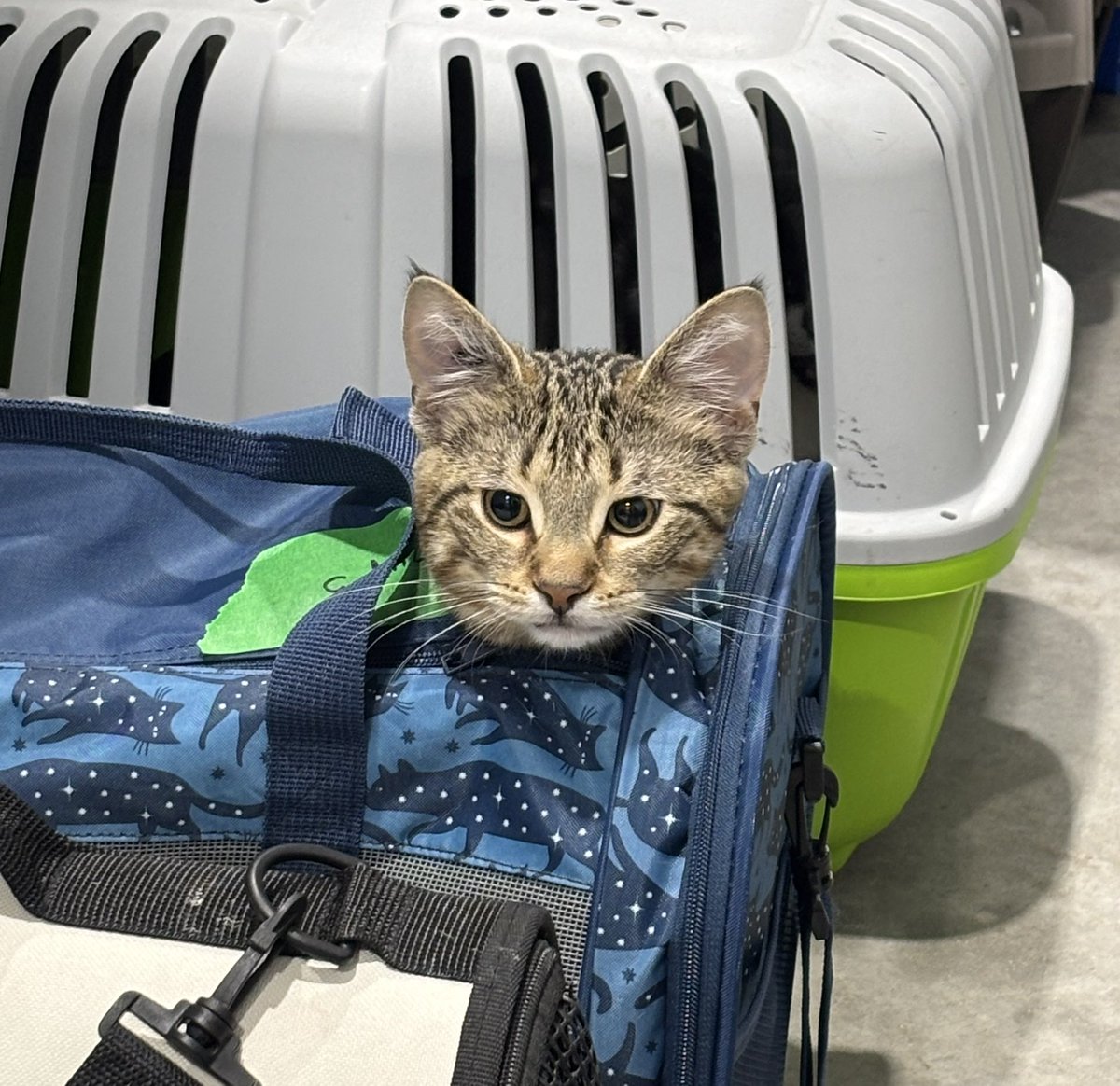 ⋆⁺₊⋆ ☾𖤓 ⋆⁺₊⋆ tweet media