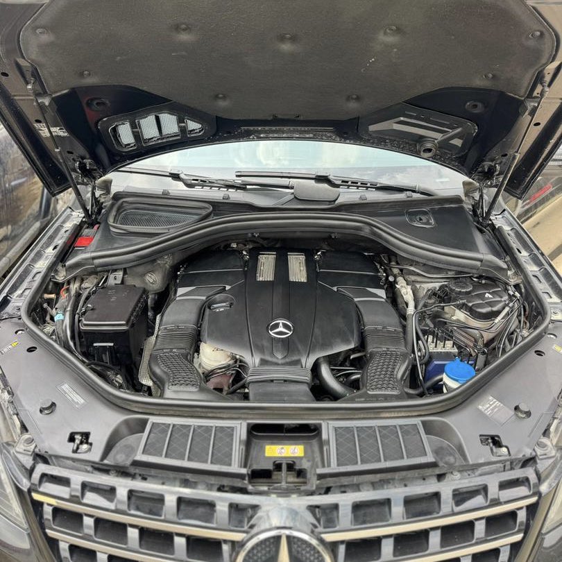 Jimi Animashaun tweet media