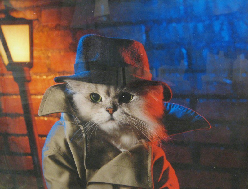 Cyber Security Awareness Model tweet media