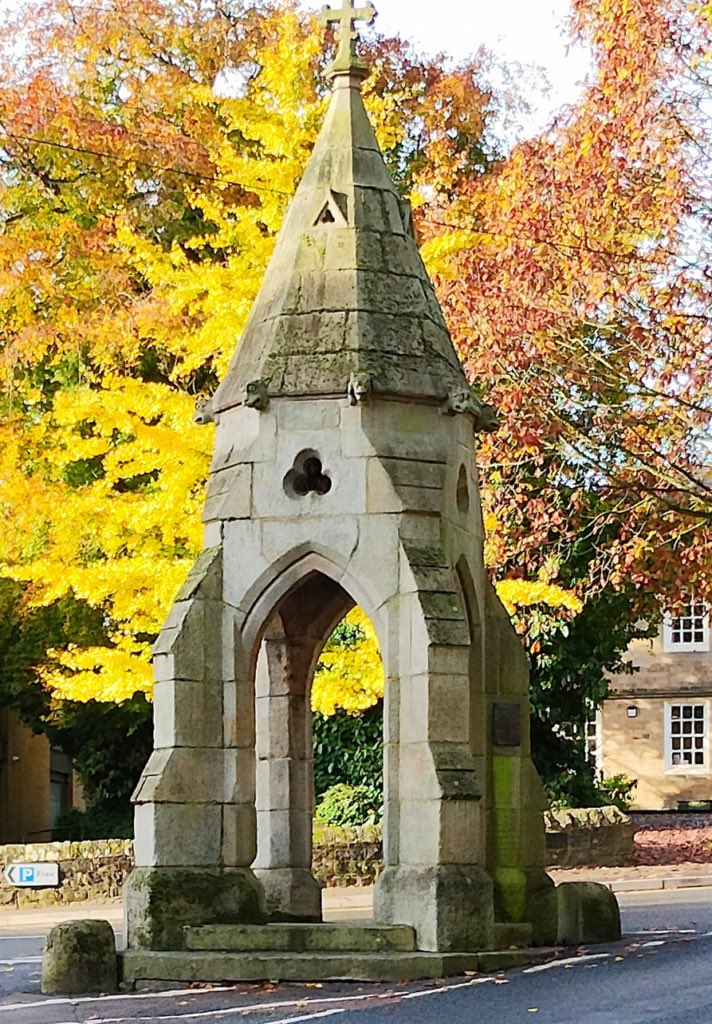 David Bell tweet media