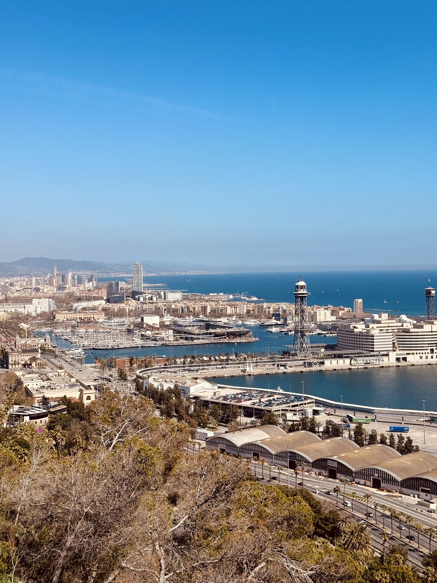 T ⚡️ tweet media