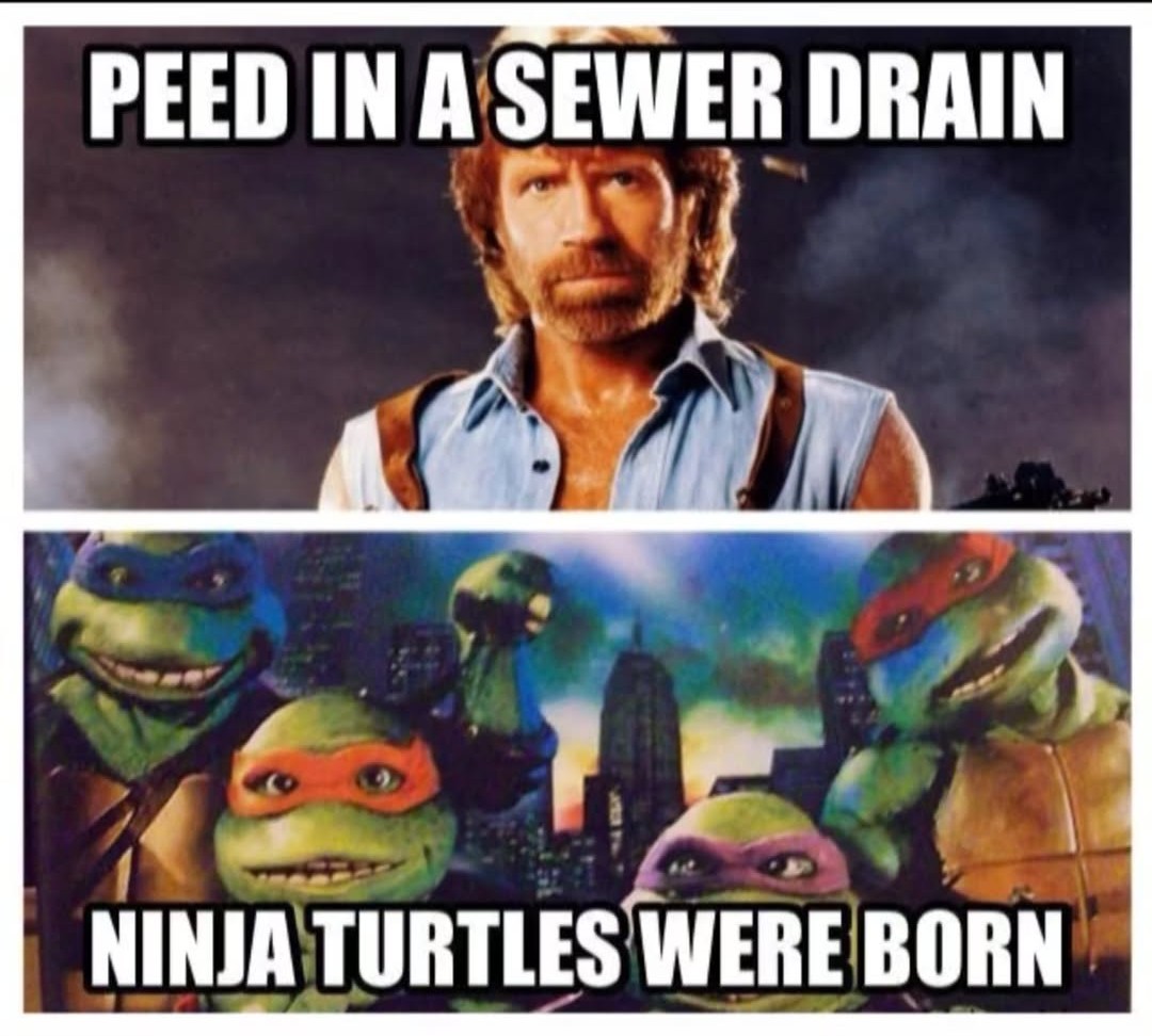 Stephanie Horror 🖤 tweet media