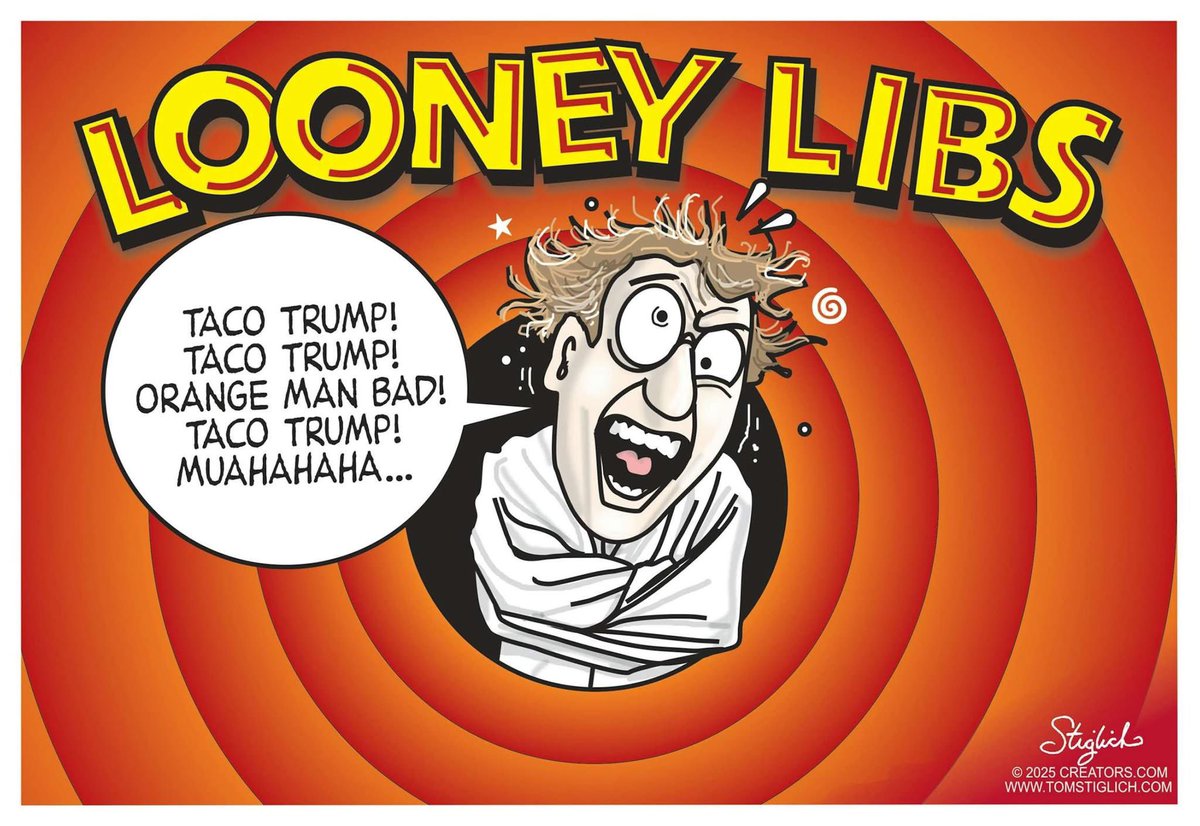 Chapman Customs tweet media