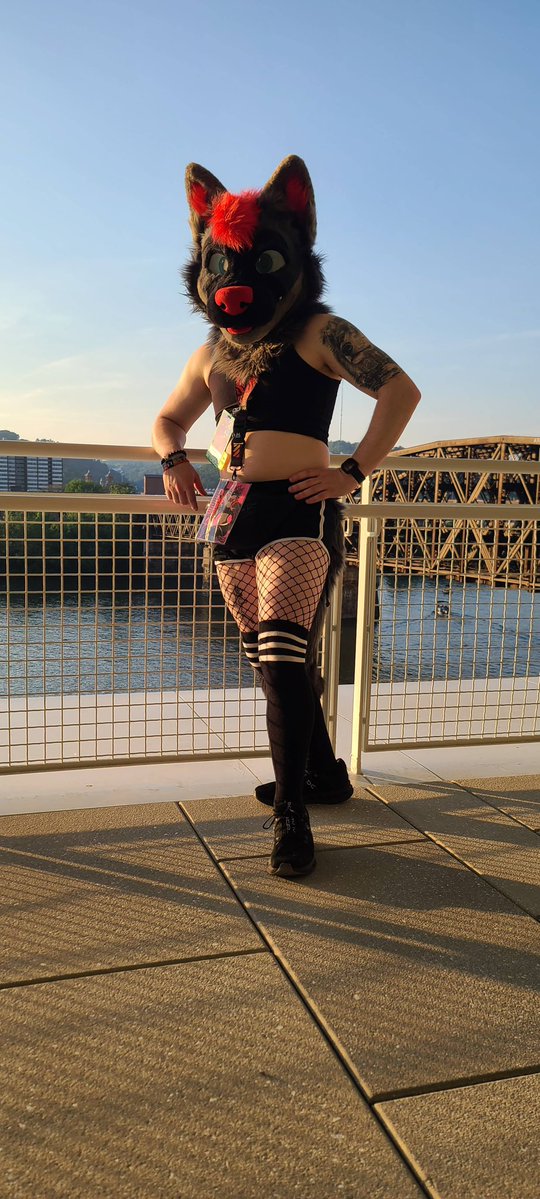 Card 🐺✨🔜 FWA26 tweet media