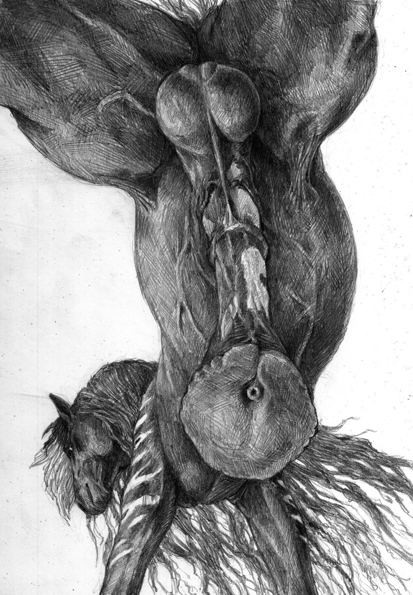 🐴Stanley🐴 tweet media