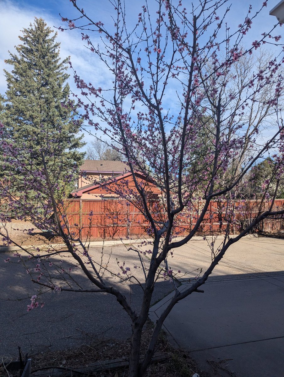 Marcos Boyington 🧢 tweet media