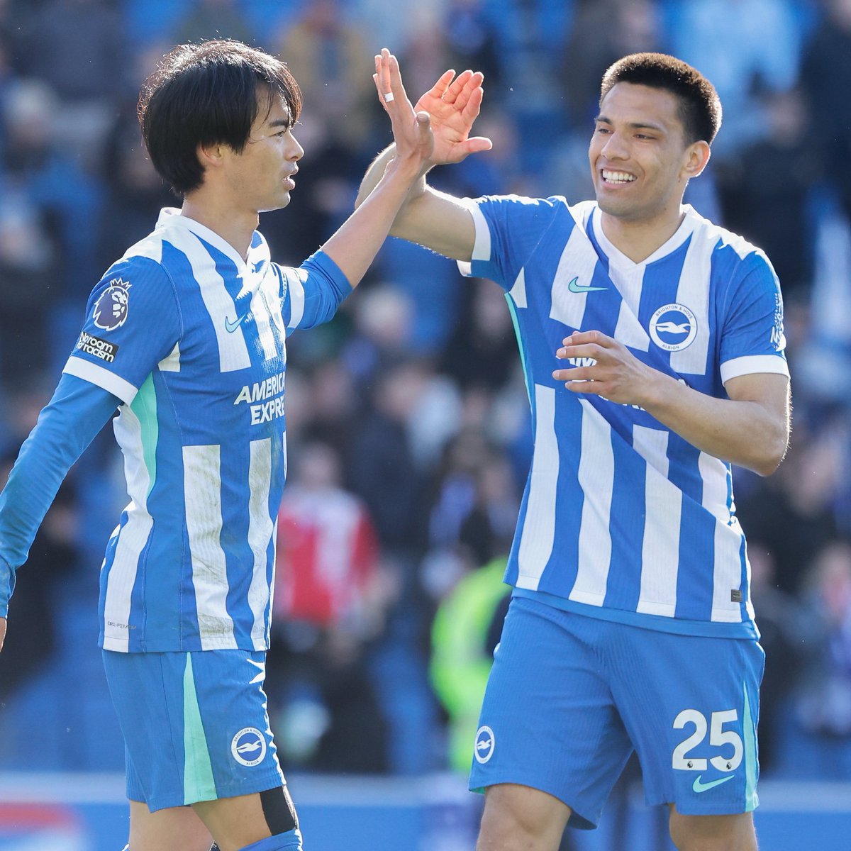 Brighton & Hove Albion tweet media