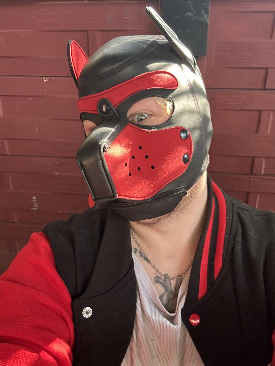 Stitch Pup tweet media