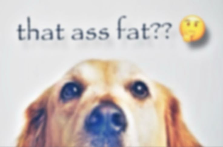 Lucii on shtwt tweet media