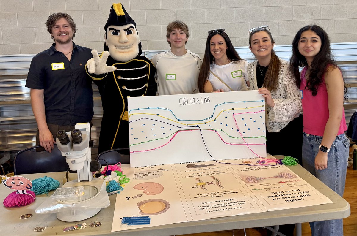 Valentina Cigliola tweet media