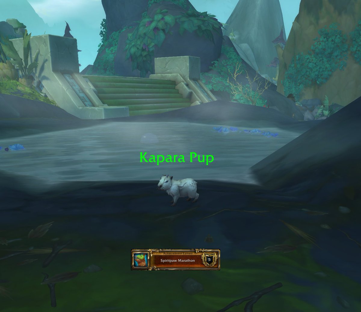 ꌗᑌᑭᗩY 🔜 BlizzCon 2026 tweet media