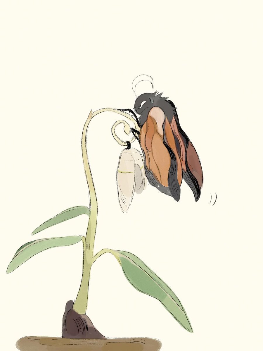 Hoppers stash (SPOILERS!!) tweet media