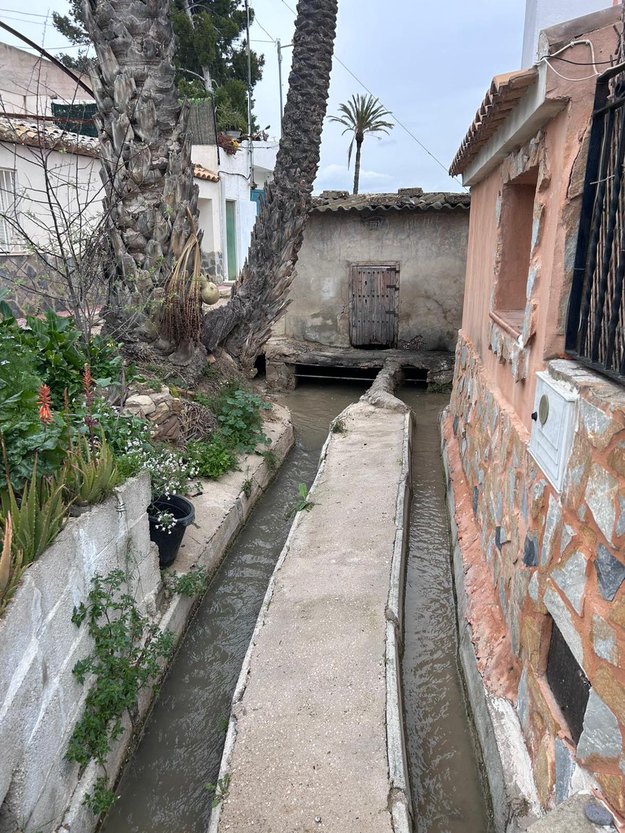 Pascual Salvador tweet media