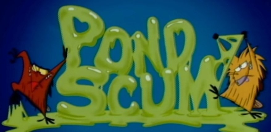 Paddy O'Reilly tweet media