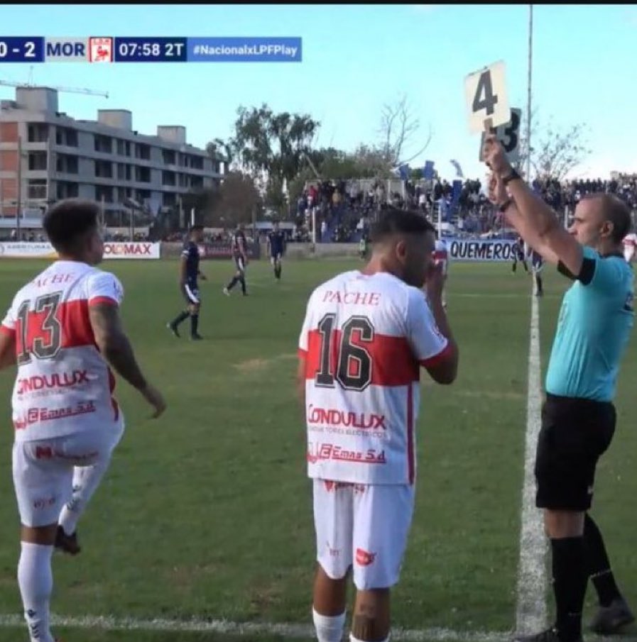 SpiderCARP 🤟🏻🕷️ tweet media