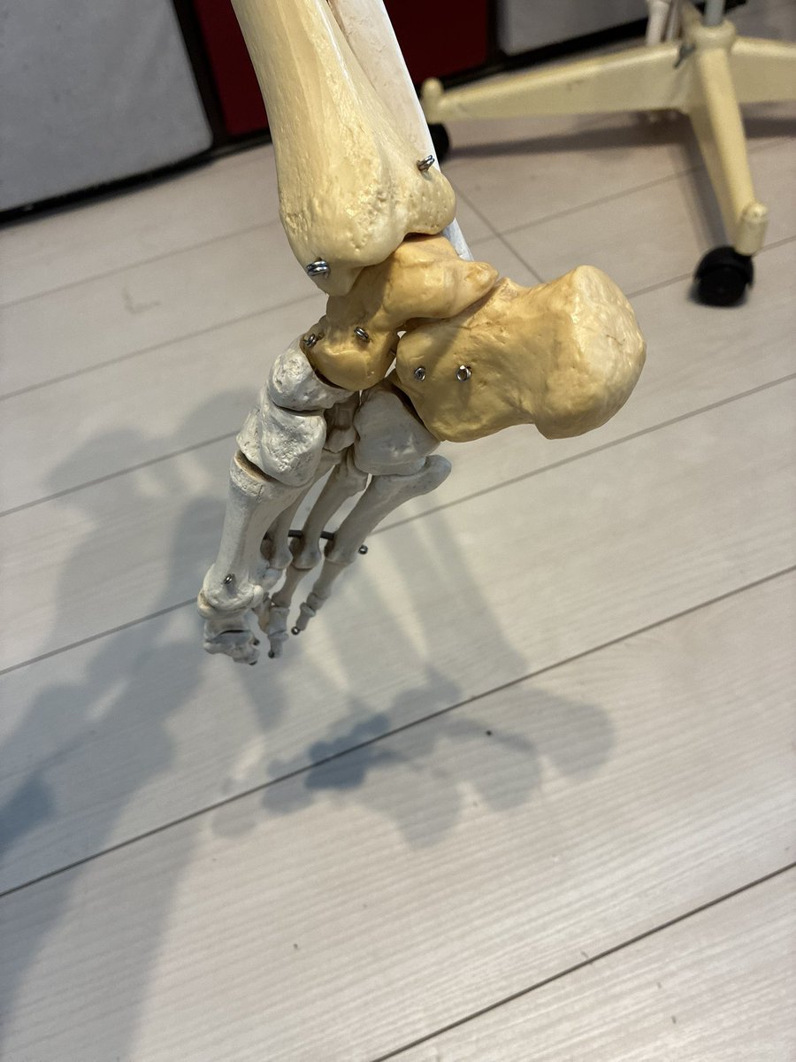 大森タケシ🌸ゆるめ→整え→鍛え→実現する🌱 tweet media