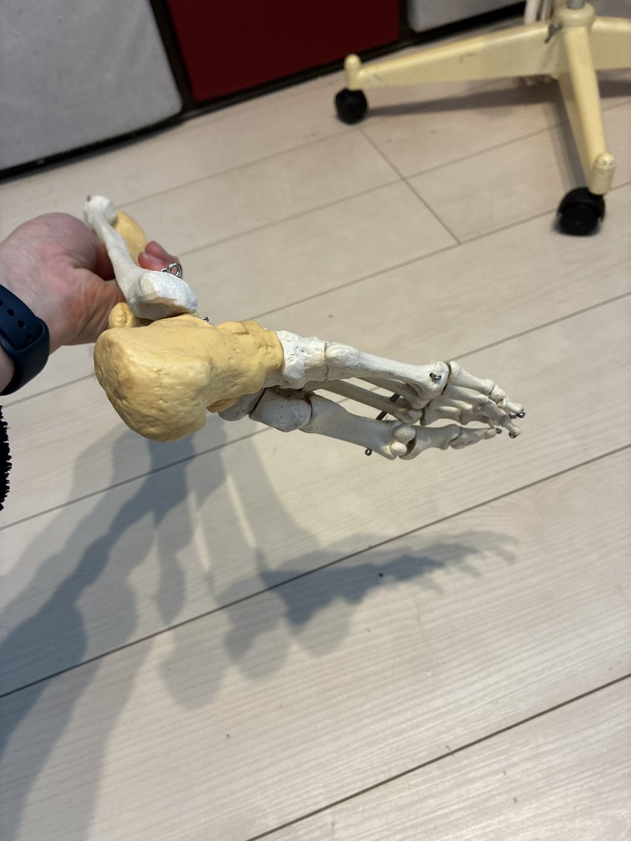 大森タケシ🌸ゆるめ→整え→鍛え→実現する🌱 tweet media