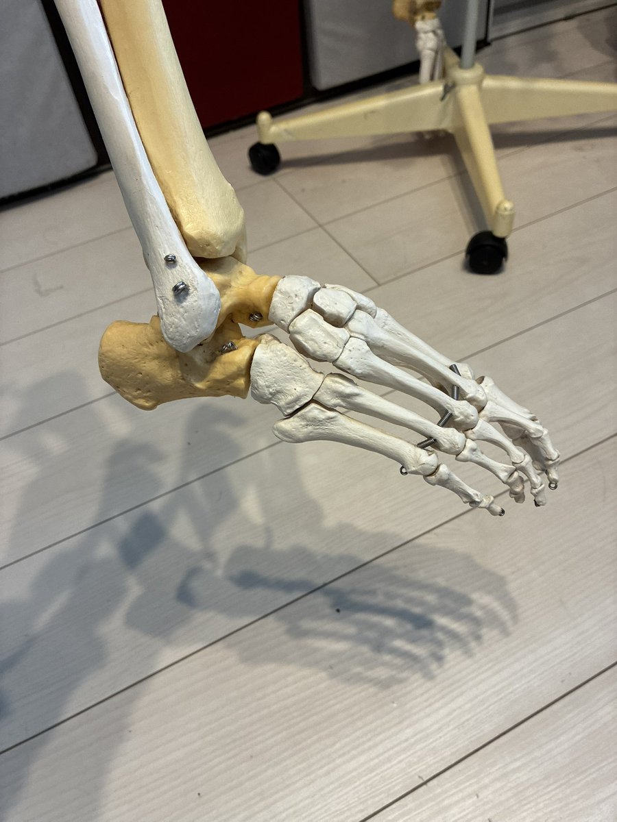 大森タケシ🌸ゆるめ→整え→鍛え→実現する🌱 tweet media