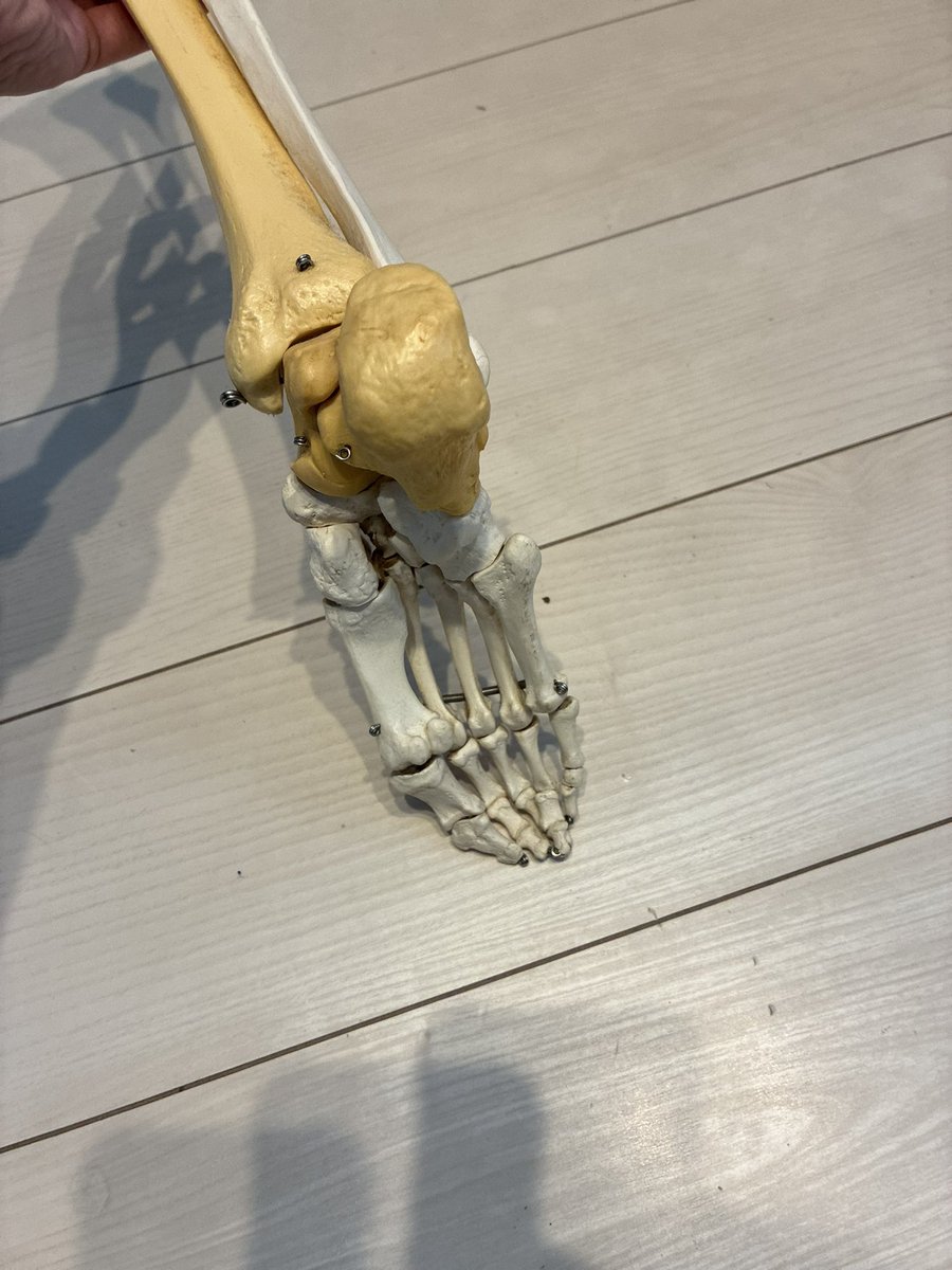 大森タケシ🌸ゆるめ→整え→鍛え→実現する🌱 tweet media