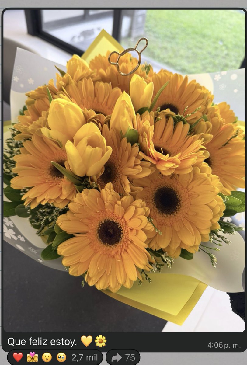 ⁴Melt⁴ tweet media