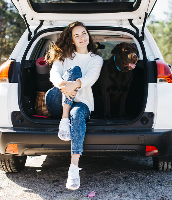 ShineSheets.com tweet media