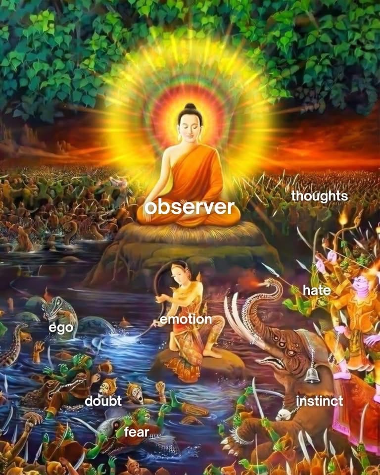 🧬Maxpein🧬 tweet media